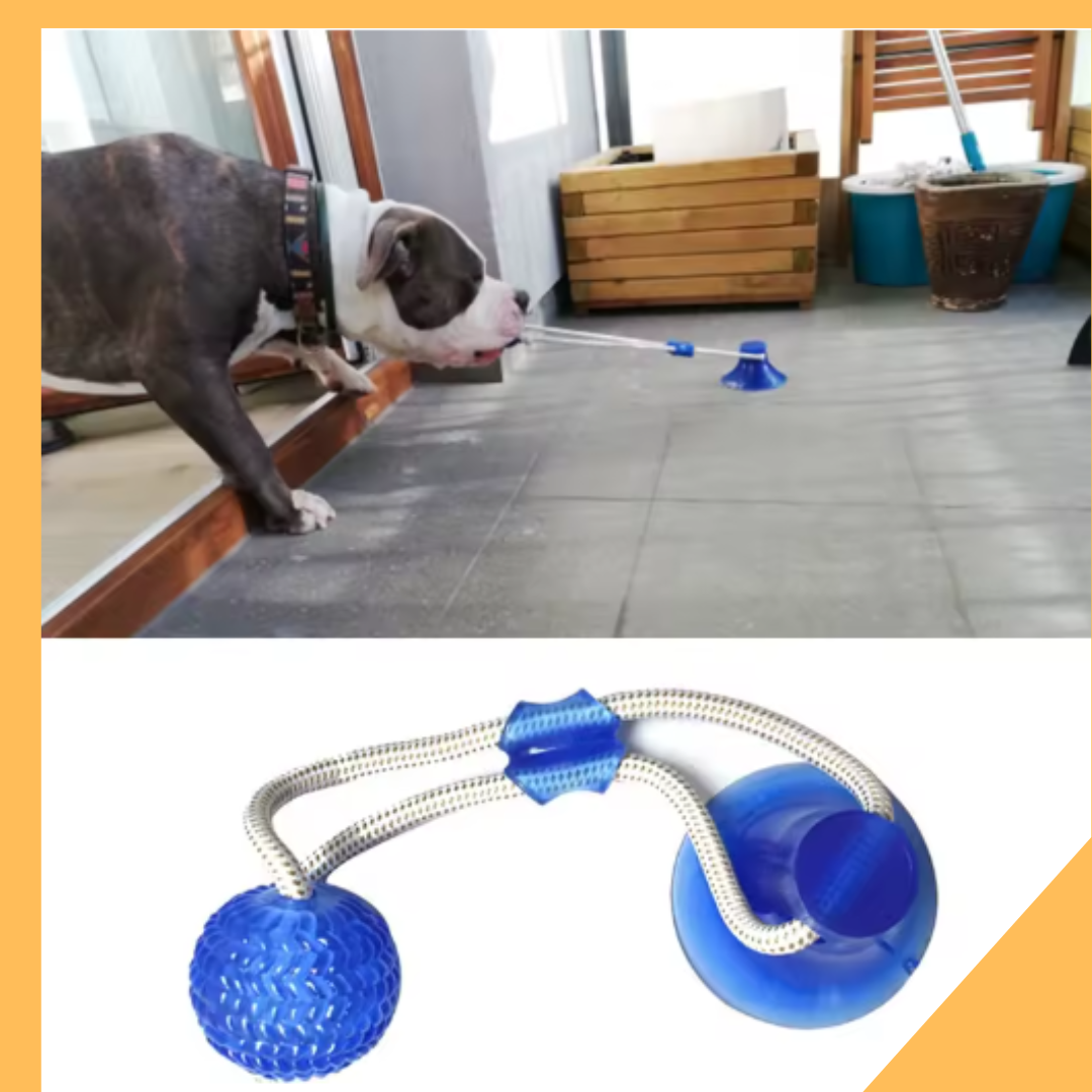 Juguete Interactivo para Perros - Alivio de Ansiedad y Limpieza Dental