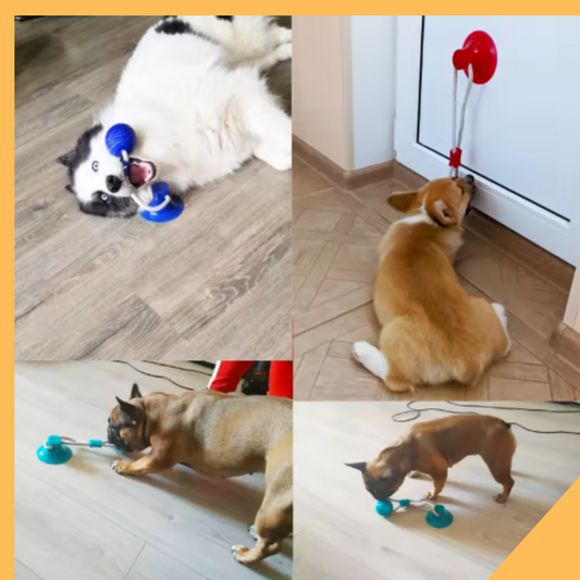 Juguete Interactivo para Perros - Alivio de Ansiedad y Limpieza Dental